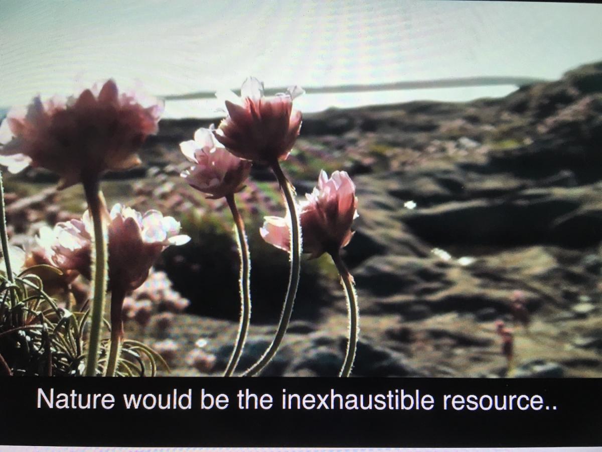 (12) Fergus Daly, The Mirror of Possible Worlds, Ierland, 2020