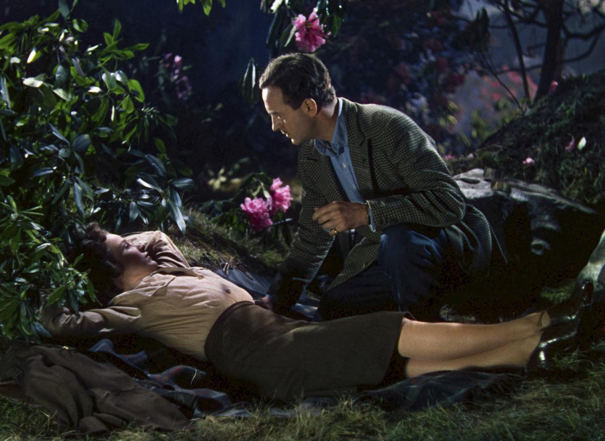 A Matter of Life and Death (Michael Powell & Emeric Pressburger, 1946) A Matter of Life and Death (Michael Powell & Emeric Pressburger, 1946)