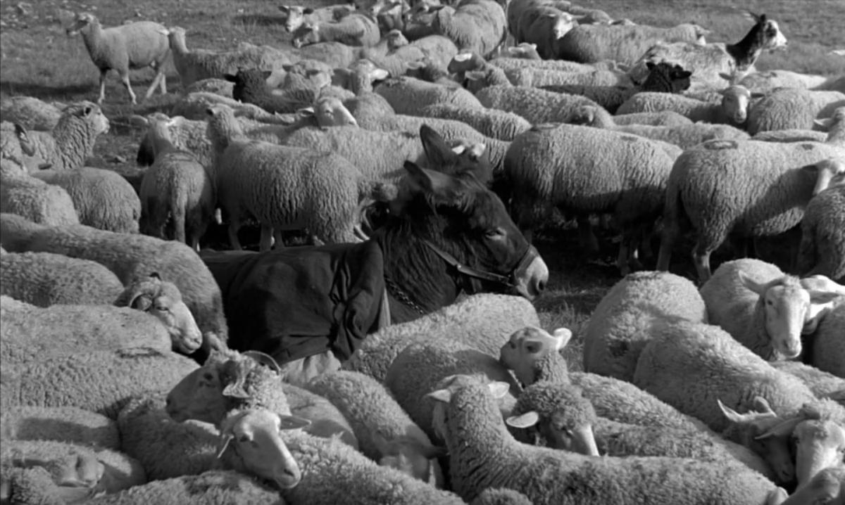 (4) Au hasard Balthazar (Robert Bresson, 1966) (4) Au hasard Balthazar (Robert Bresson, 1966)