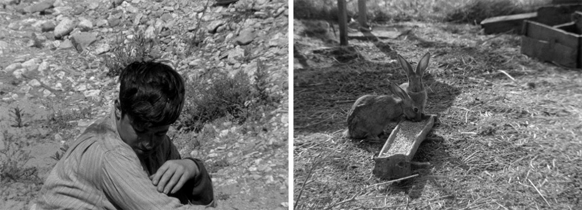 (3) Le moindre geste (Jean-Pierre Daniel, Fernand Deligny, Josée Manenti, 1971) (3) Le moindre geste (Jean-Pierre Daniel, Fernand Deligny, Josée Manenti, 1971)