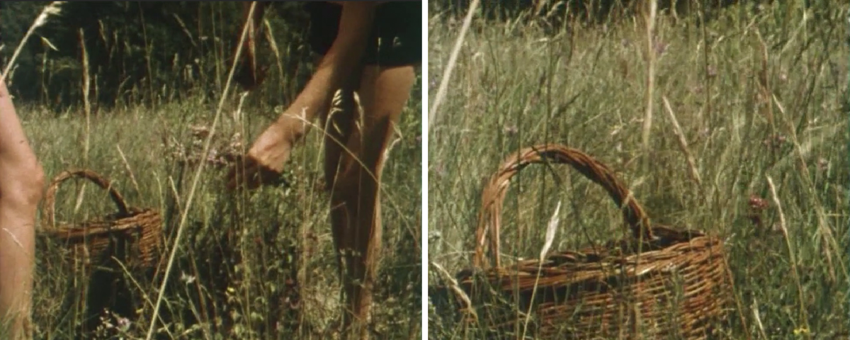 (3) Projet N (Fernand Deligny, Alain Cazuc , 1979) (3) Projet N (Fernand Deligny, Alain Cazuc , 1979)