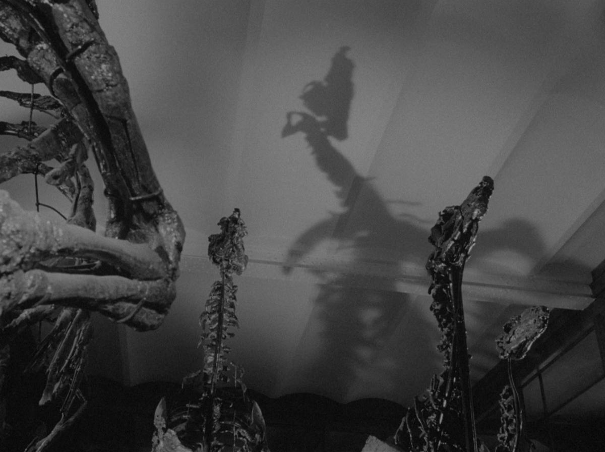 (1) Dimanche (Edmond Bernhard, 1963) (1) Dimanche (Edmond Bernhard, 1963)