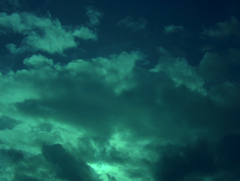 (2) Elephant (Gus Van Sant, 2003) (2) Elephant (Gus Van Sant, 2003)