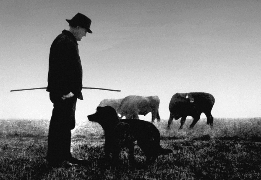 Farrebique ou les quatre saisons (Georges Rouquier, 1946) Farrebique ou les quatre saisons (Georges Rouquier, 1946)