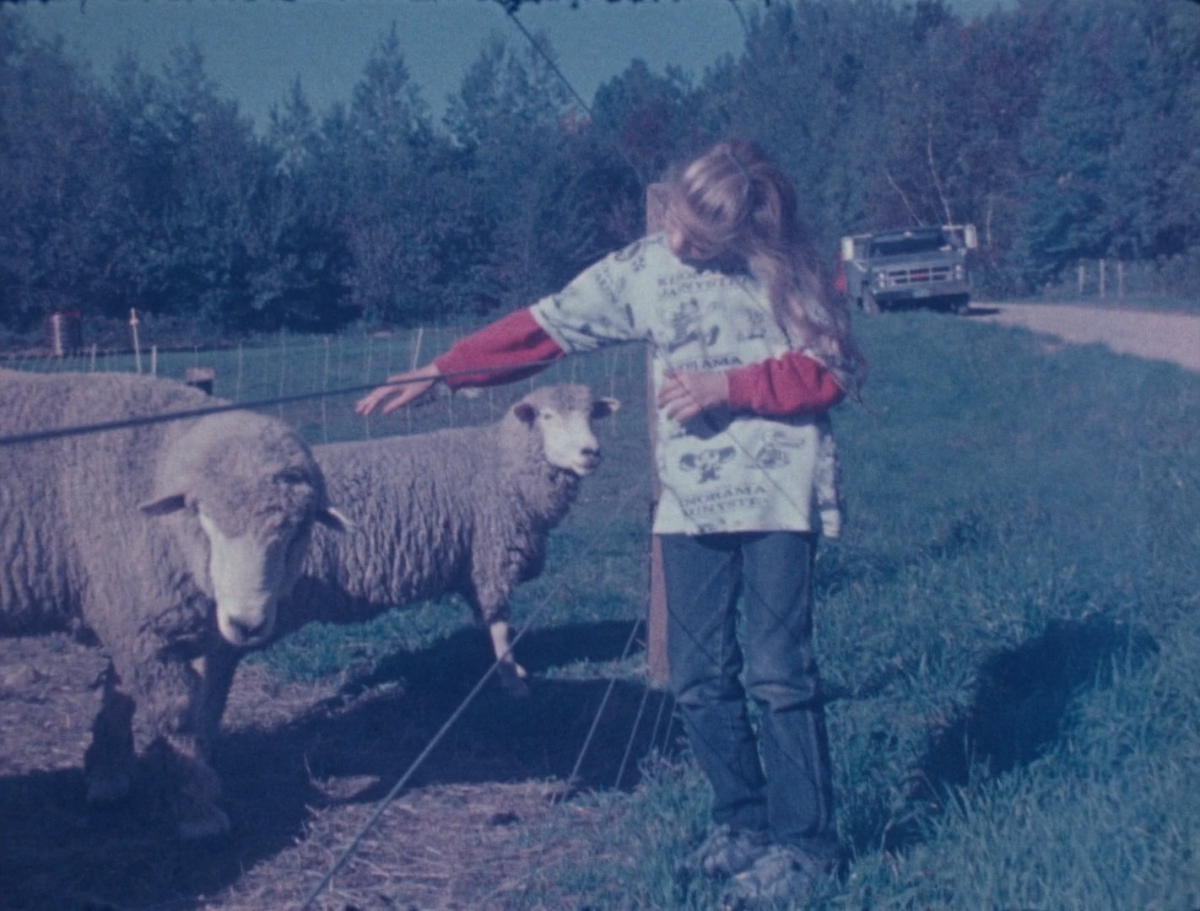 (1) As I Was Moving Ahead Occasionally I Saw Brief Glimpses of Beauty (Jonas Mekas, 2000) (1) As I Was Moving Ahead Occasionally I Saw Brief Glimpses of Beauty (Jonas Mekas, 2000)