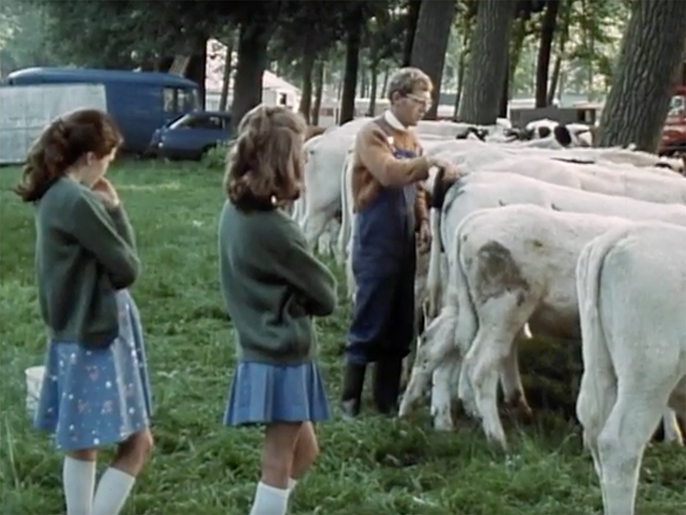 Jef Cornelis, ‘Ge kent de weg en de taal’, 1976. Jef Cornelis, ‘Ge kent de weg en de taal’, 1976.