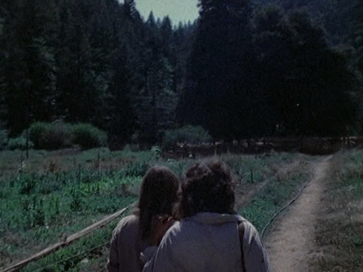 Milestones (John Douglas & Robert Kramer, 1975) 21 Milestones (John Douglas & Robert Kramer, 1975) 21