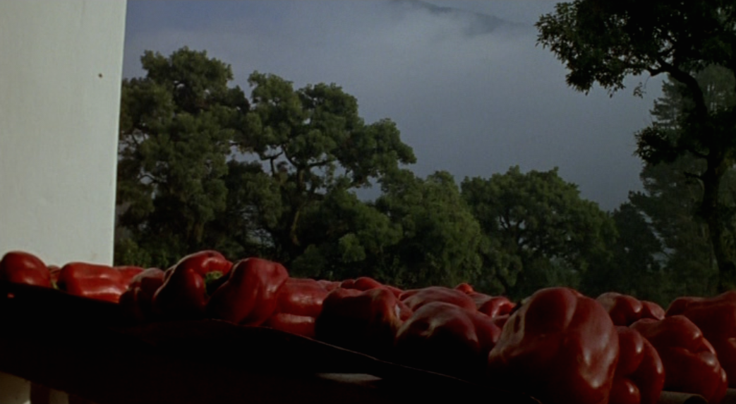 La Ciénaga (Lucrecia Martels, 2001) La Ciénaga (Lucrecia Martels, 2001)