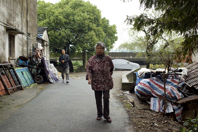 (2) Mrs. Fang (Wang Bing, 2017) (2) Mrs. Fang (Wang Bing, 2017)