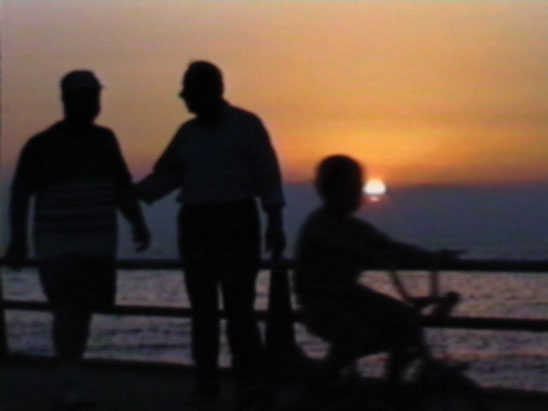 I Only Wish That I Could Weep (Walid Raad, 2002) I Only Wish That I Could Weep (Walid Raad, 2002)