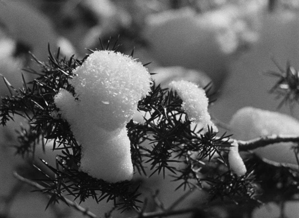 Farrebique ou les quatres saisons (Georges Rouquier, 1946) Farrebique ou les quatres saisons (Georges Rouquier, 1946)