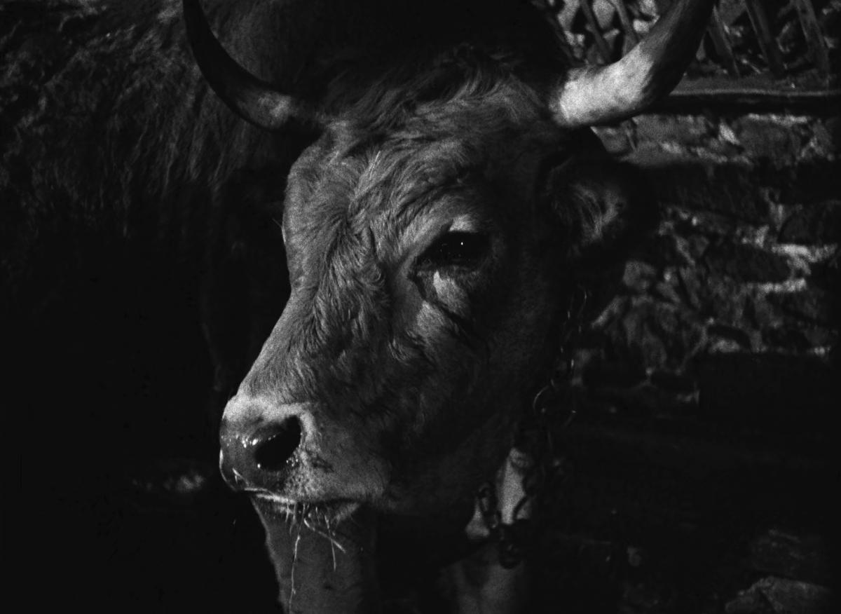 Farrebique ou les quatres saisons (Georges Rouquier, 1946) Farrebique ou les quatres saisons (Georges Rouquier, 1946)