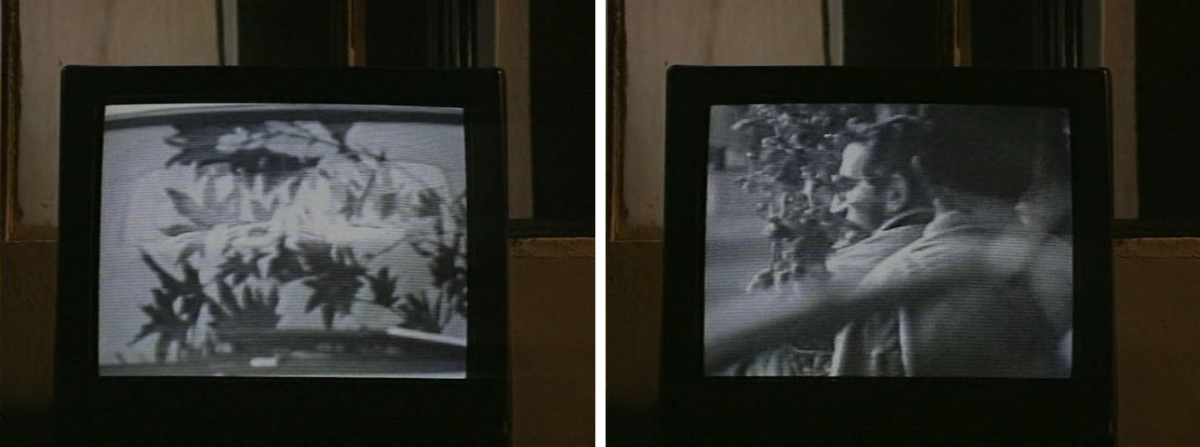 (1) & (2) Close-Up Long Shot (Mamhoud Chokrollahi & Moslem Mansouri, 1996) (1) & (2) Close-Up Long Shot (Mamhoud Chokrollahi & Moslem Mansouri, 1996)