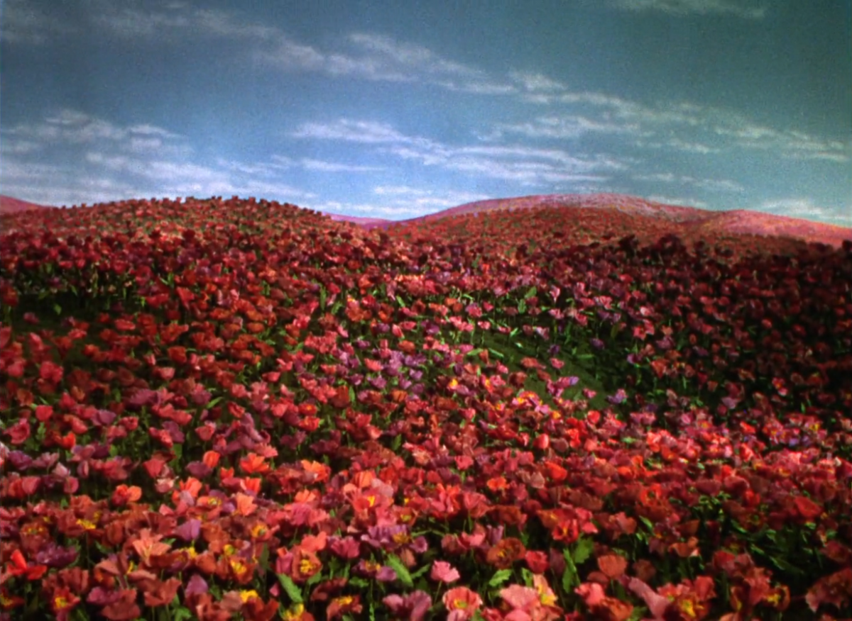 The Wizard of Oz (Victor Fleming, 1939) The Wizard of Oz (Victor Fleming, 1939)