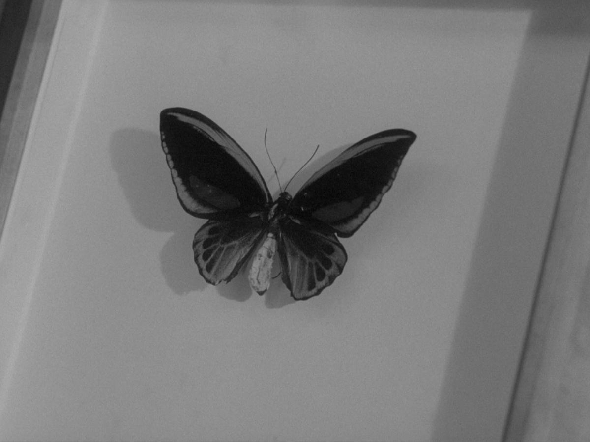 (2) Dimanche (Edmond Bernhard, 1963) (2) Dimanche (Edmond Bernhard, 1963)