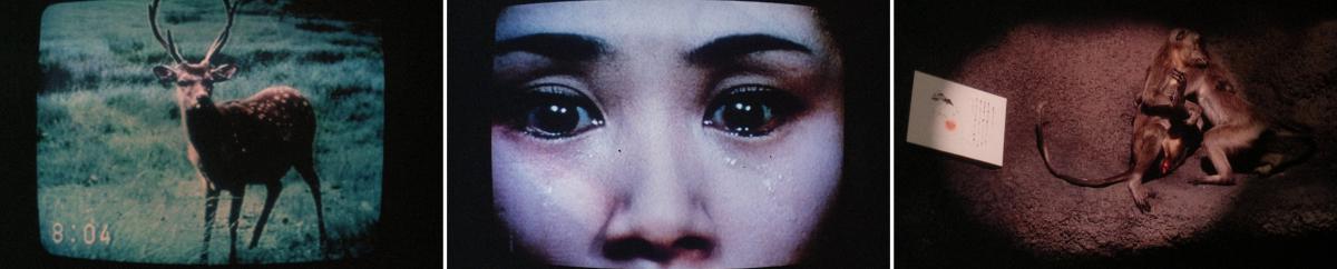 (25), (26) & (27) Sans soleil (Chris Marker, 1983) (25), (26) & (27) Sans soleil (Chris Marker, 1983)