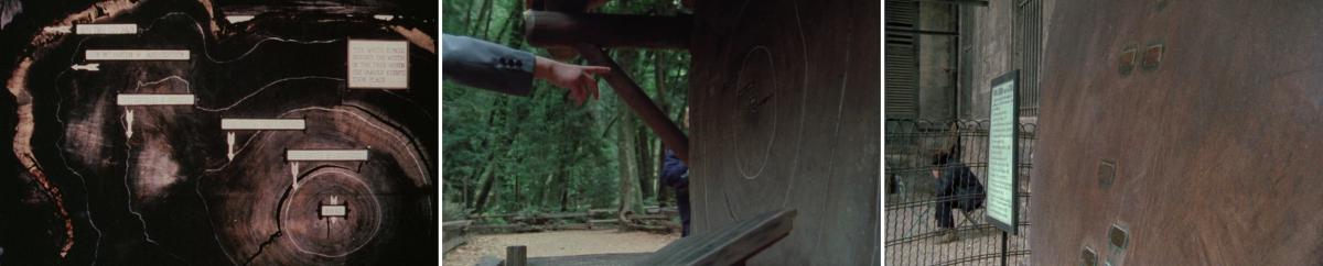(49), (50) & (51) Sans soleil (Chris Marker, 1983) (49), (50) & (51) Sans soleil (Chris Marker, 1983)