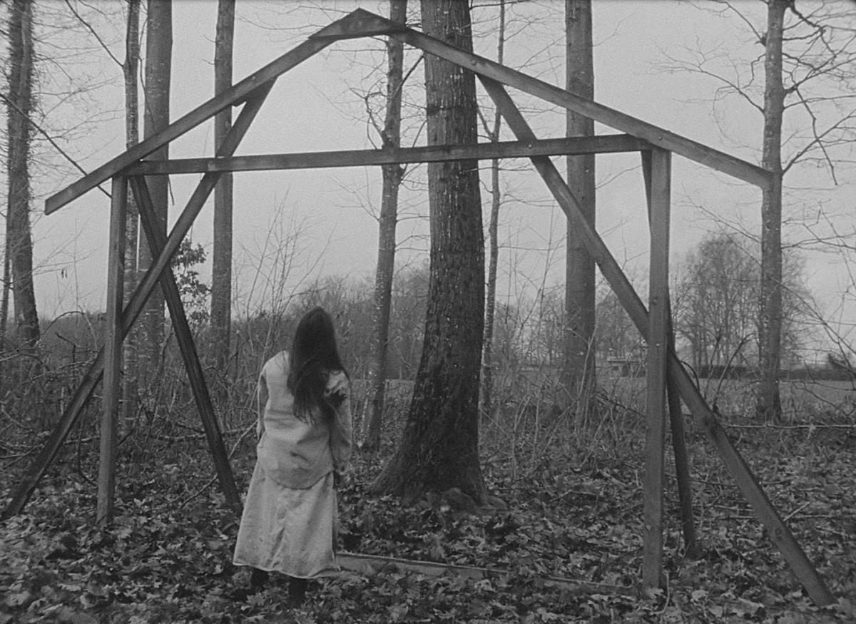 La force diagonale (Annik Leroy & Julie Morel, 2023) La force diagonale (Annik Leroy & Julie Morel, 2023)