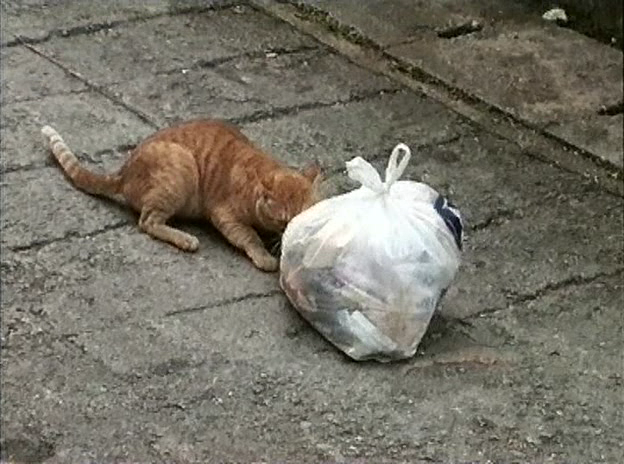 Level Five (Chris Marker, 1997) Level Five (Chris Marker, 1997)
