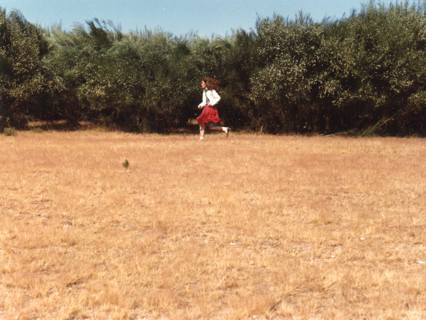 Ana (Margarida Cordeiro & António Reis, 1982)