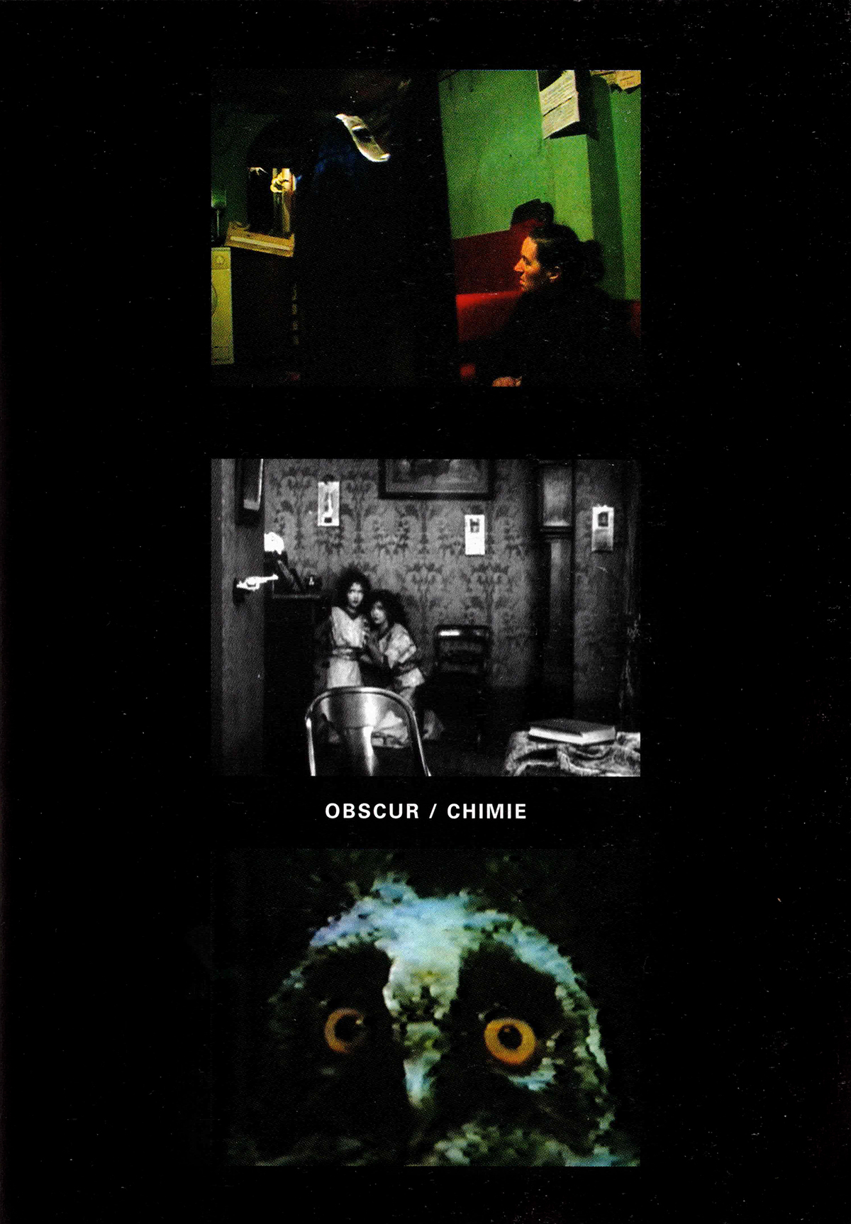 (14) Collage by Andy Rector