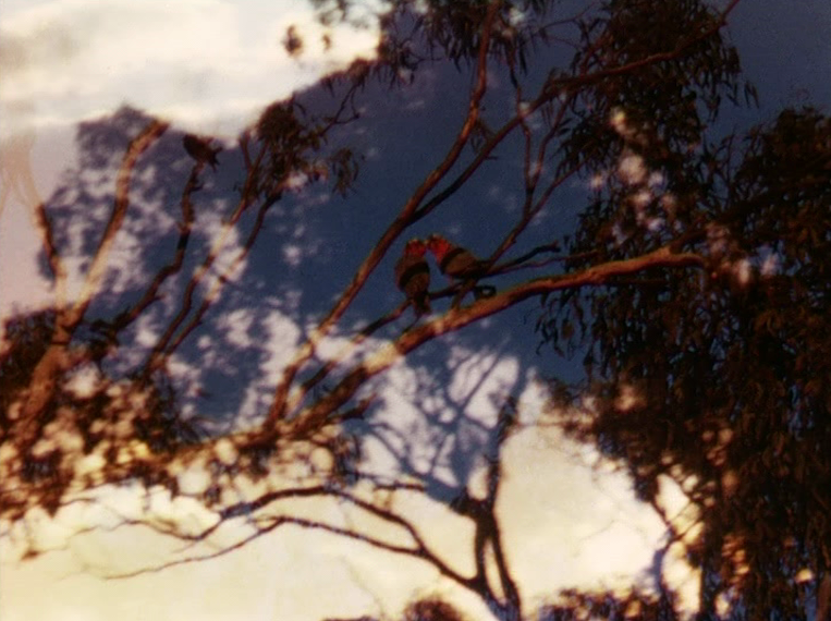 (3) Earth Message (Arthur Cantrill & Corinne Cantrill, 1970) | © Arthur and Corinne Cantrill