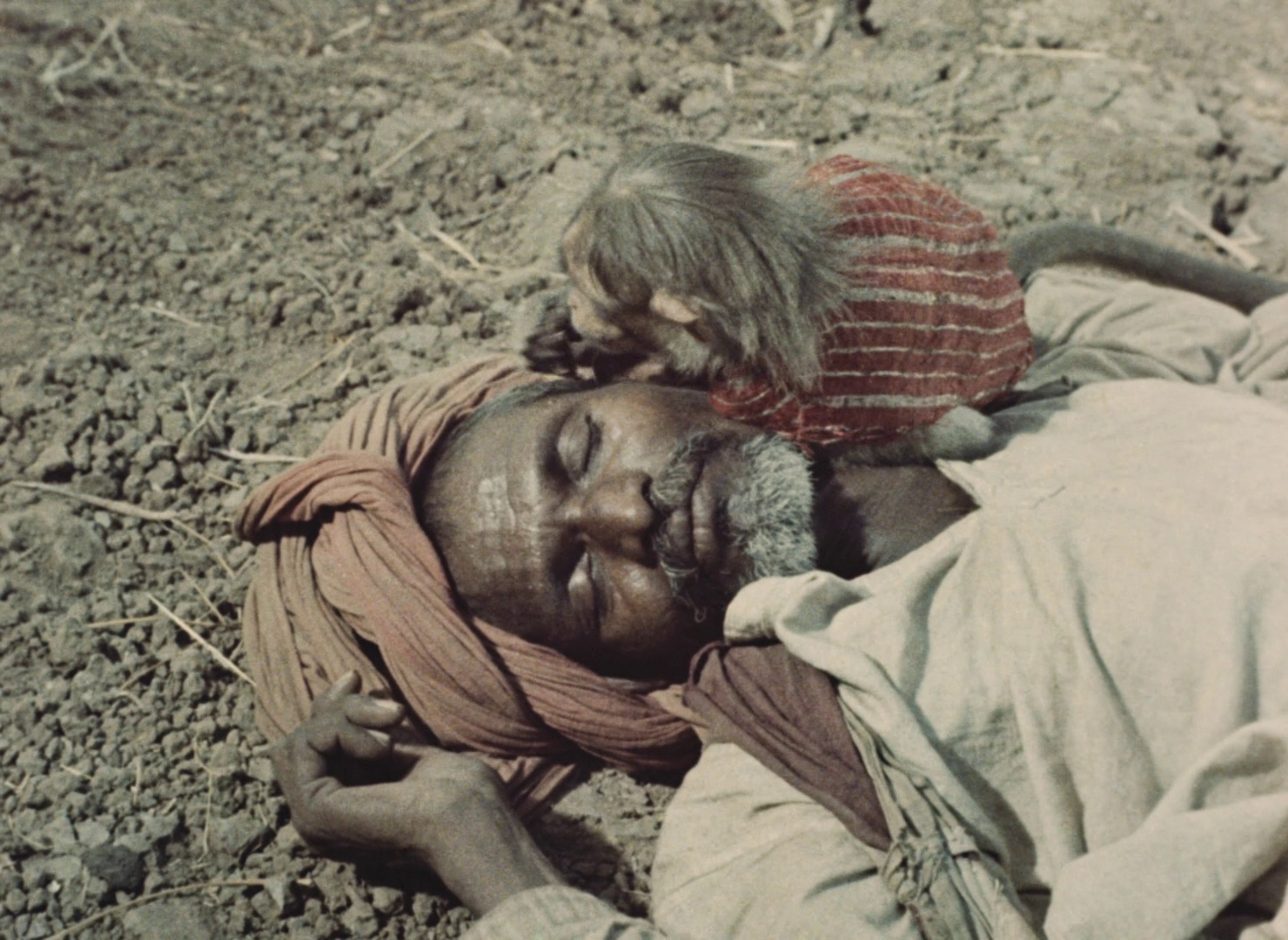 (3) India: Matri Bhumi (Roberto Rossellini, 1959)