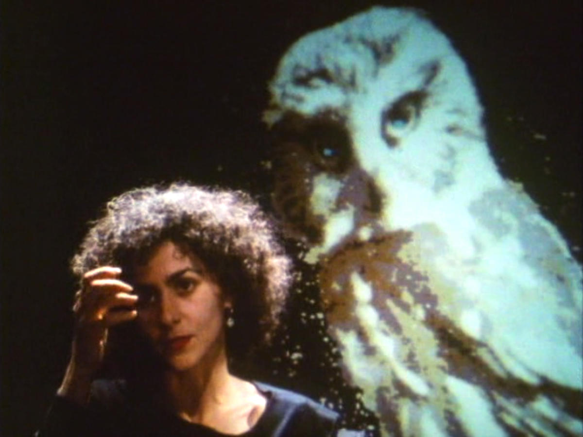 (6) L’héritage de la chouette (Chris Marker, 1989) (6) L’héritage de la chouette (Chris Marker, 1989)