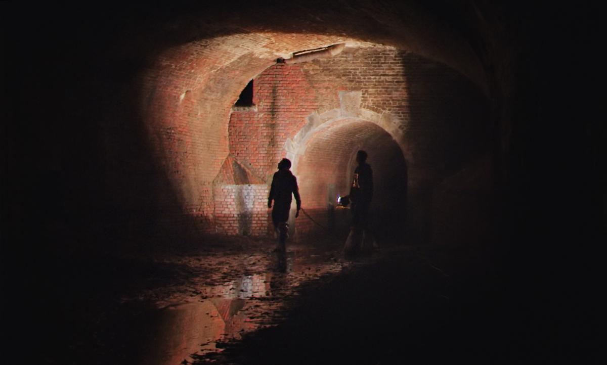 (3) La fleurière (Ruben Desiere, 2017)