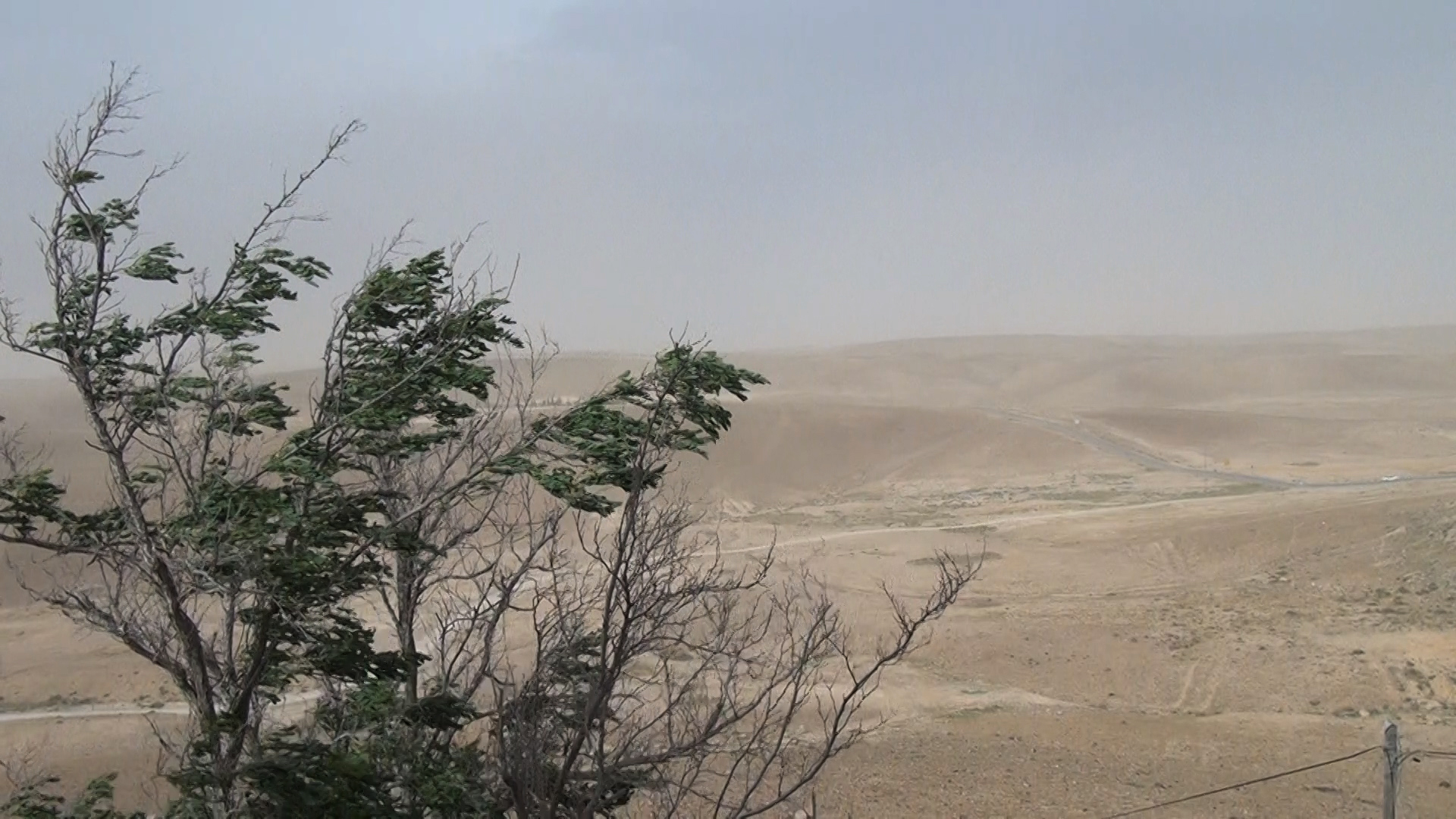 (5) No Home Movie (Chantal Akerman, 2015) (5) No Home Movie (Chantal Akerman, 2015)