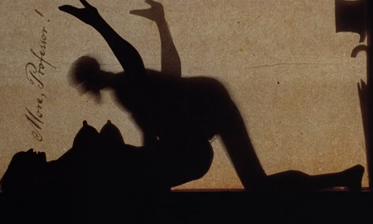 (1) Une collection particulière (Walerian Borowczyk, 1973)