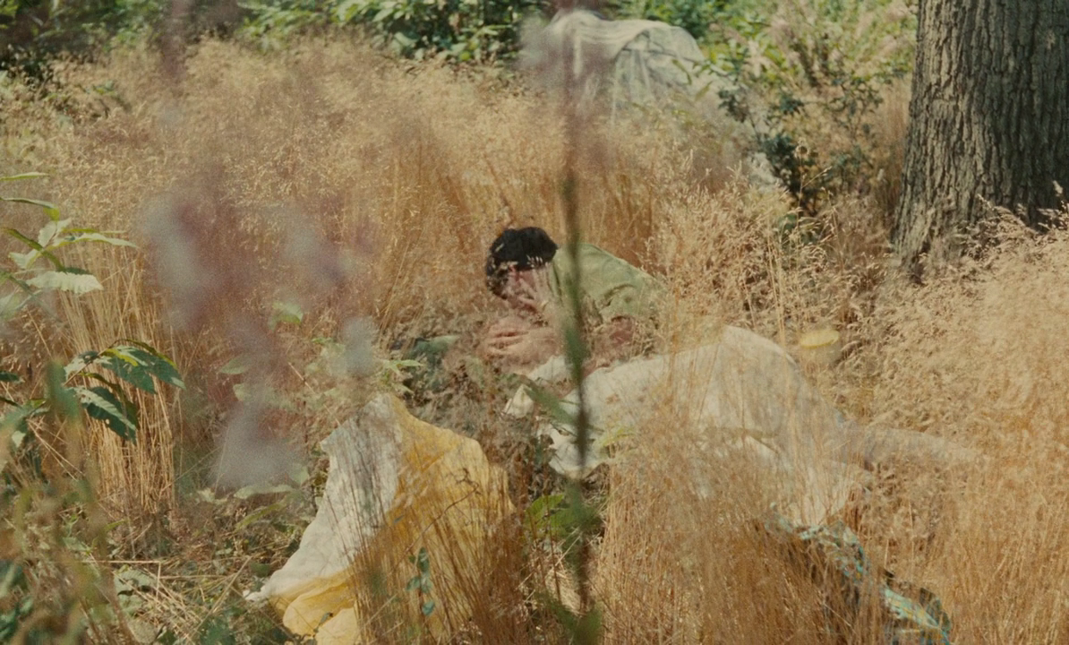 (2) Le bonheur (Agnès Varda, 1965)