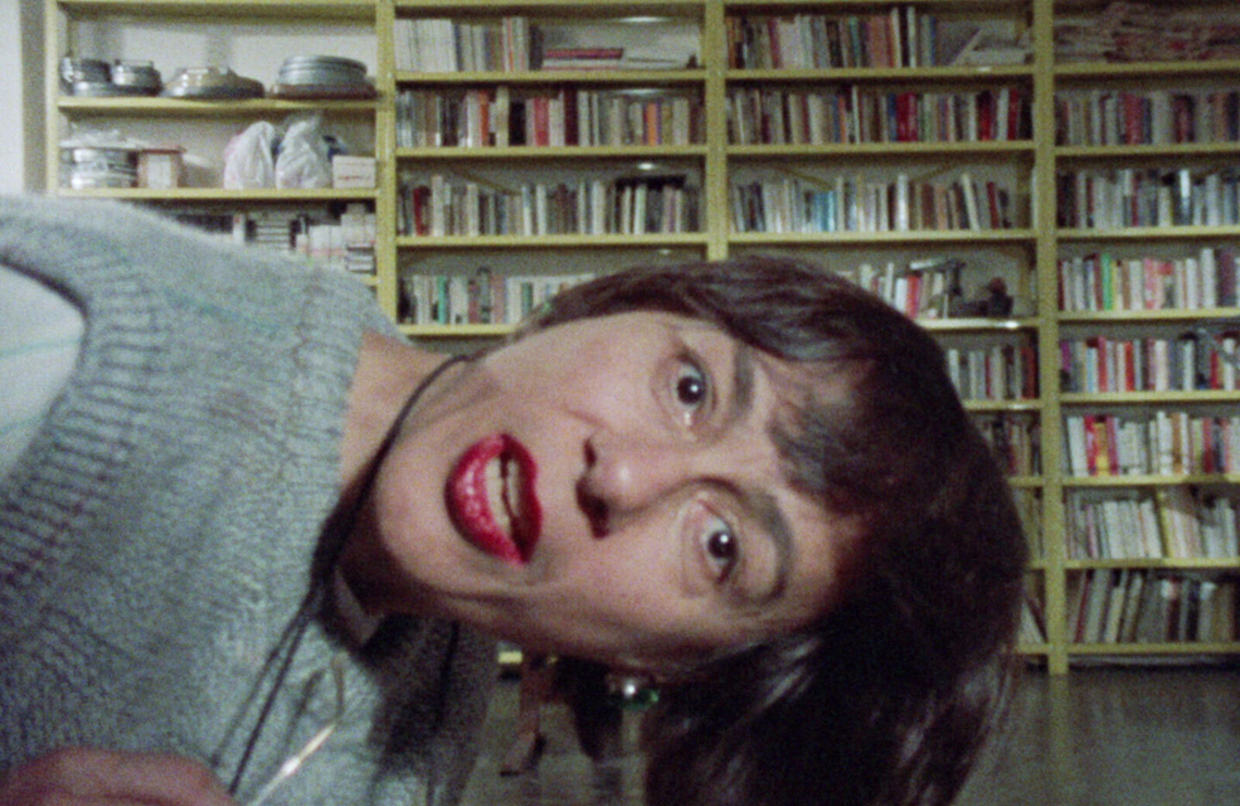 The Man Who Envied Women (Yvonne Rainer, 1985)