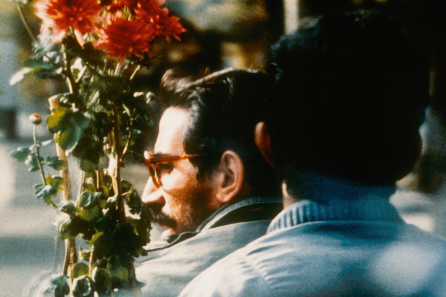 Nema-ye nazdik, Abbas Kiarostami Nema-ye nazdik, Abbas Kiarostami