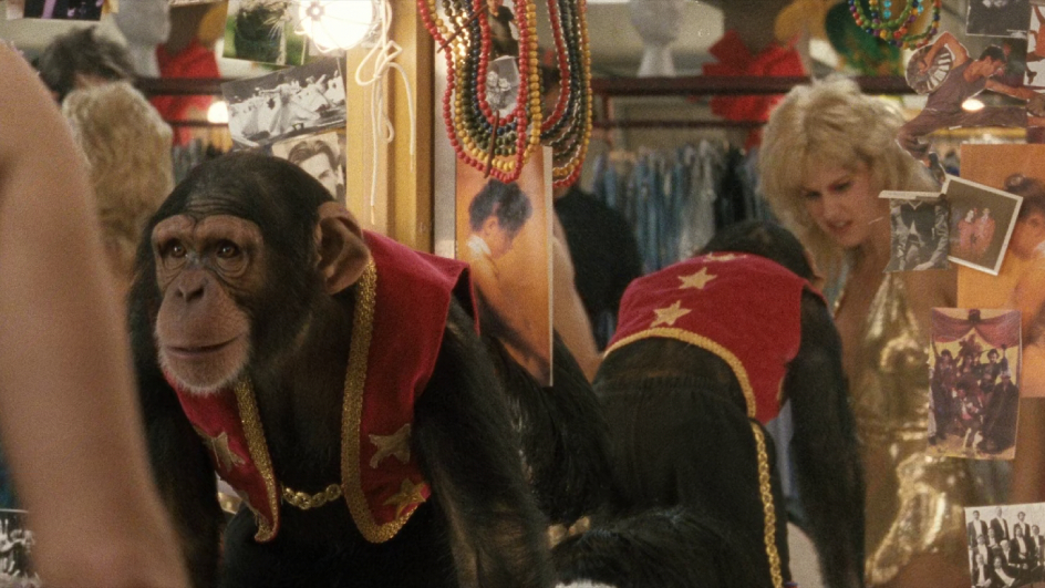 (2) Showgirls (Paul Verhoeven, 1995)