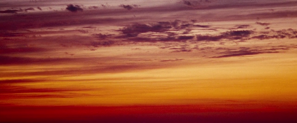 (1) Spring Breakers (Harmony Korine, 2012) (1) Spring Breakers (Harmony Korine, 2012)