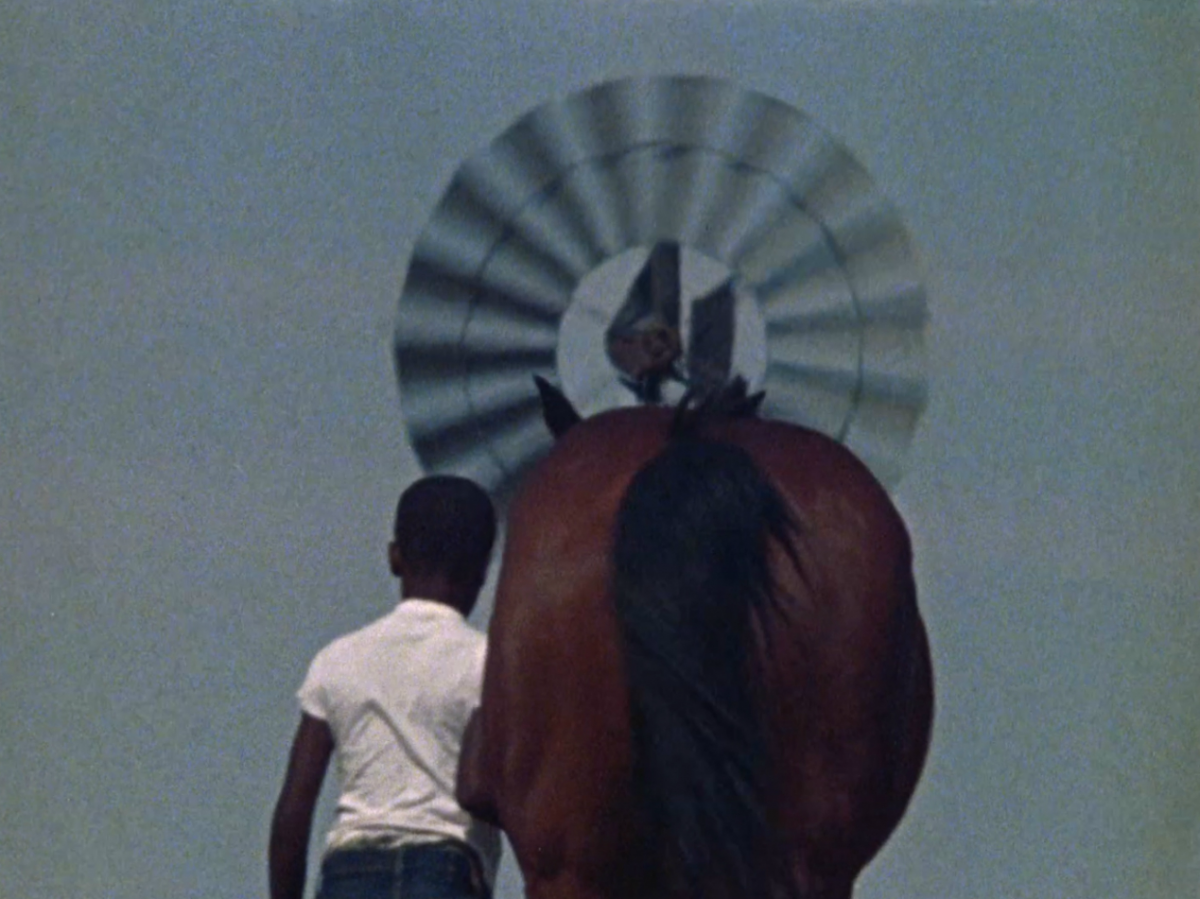 (5) The Horse (Charles Burnett, 1973) (5) The Horse (Charles Burnett, 1973)