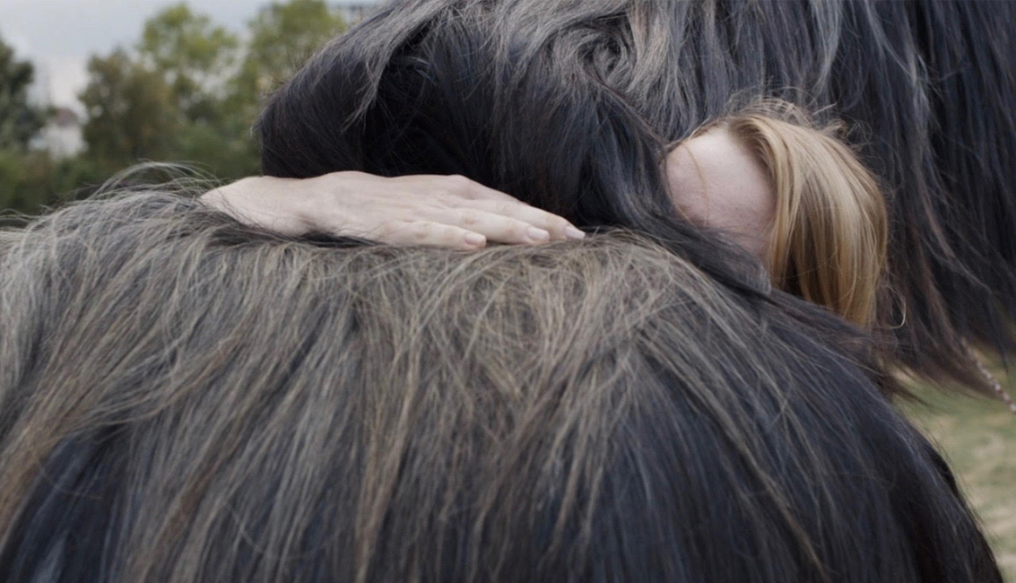 (4) Toni Erdmann (Maren Ade, 2016) (4) Toni Erdmann (Maren Ade, 2016)