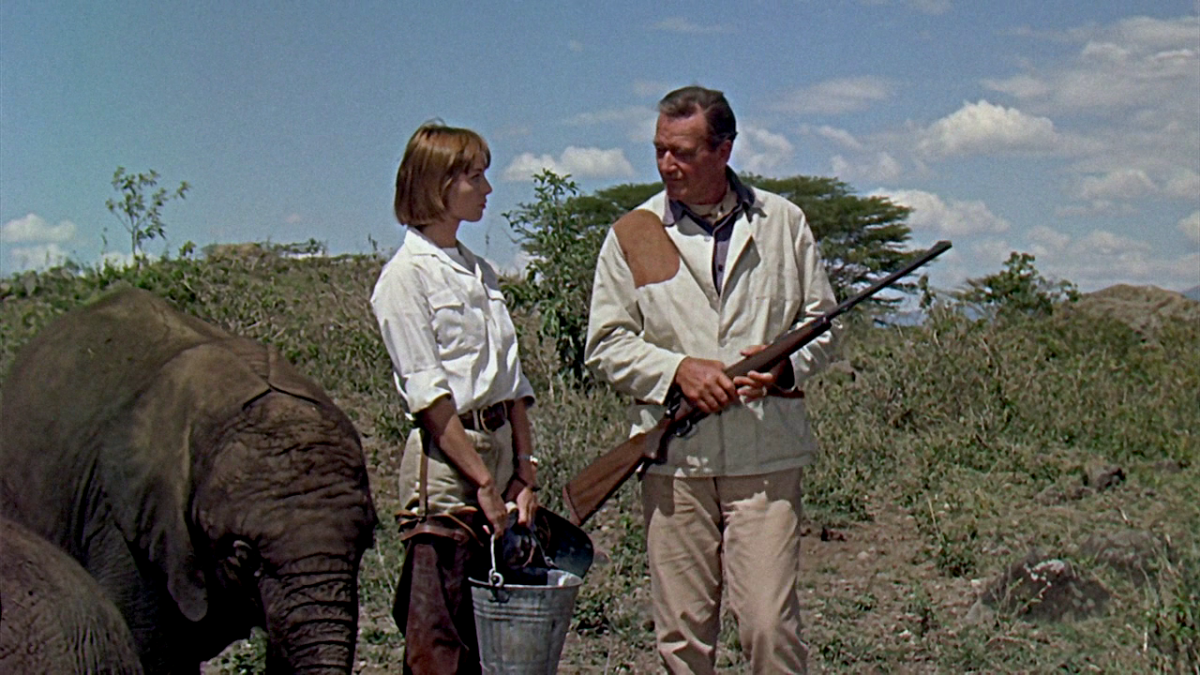 (4) Hatari! (Howard Hawks, 1962) (4) Hatari! (Howard Hawks, 1962)