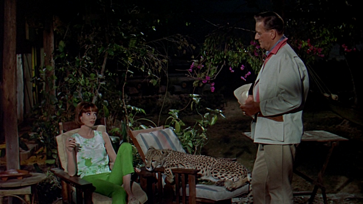 (5) Hatari! (Howard Hawks, 1962) (5) Hatari! (Howard Hawks, 1962)