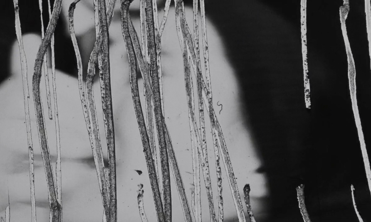 (11) Irma Vep (Olivier Assayas, 1996)