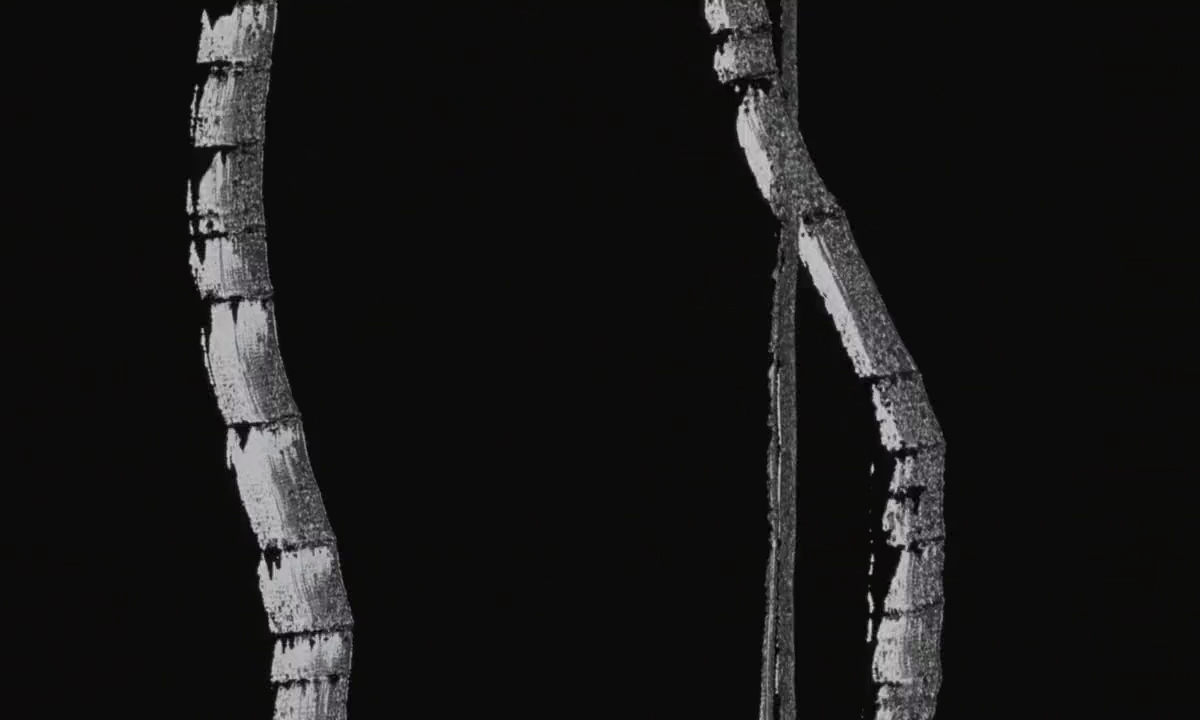 (4) Irma Vep (Olivier Assayas, 1996)